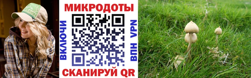 Галлюциногенные грибы Psilocybine cubensis  Купить закладки  Минусинск 