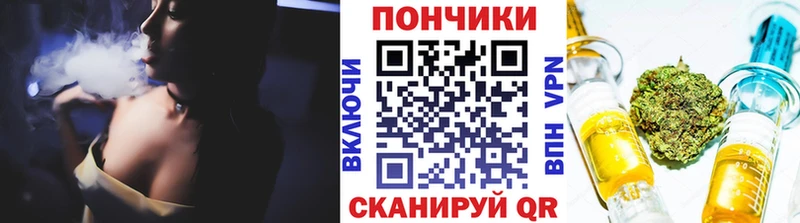 Каннабис сатива  Купить закладки  Минусинск 
